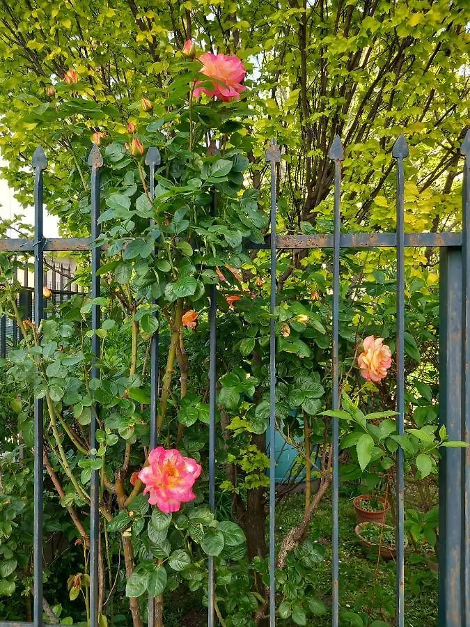 B&B Delle Arti Crema Bed & Breakfast