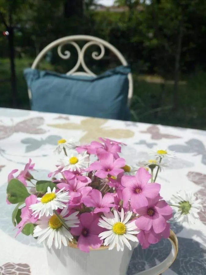 B&B Delle Arti Crema